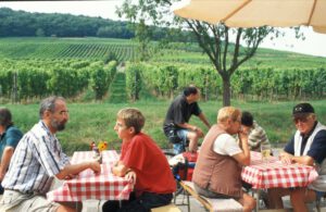 Fußwege und Radwege zum Wein