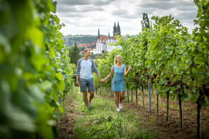 Romantik, Weitblick und ein gutes Tröpfchen: Genuss in Dresden Elbland