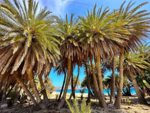 Reisebericht Matala Beach: Kreta, wo schon Zeus mit der Europa...