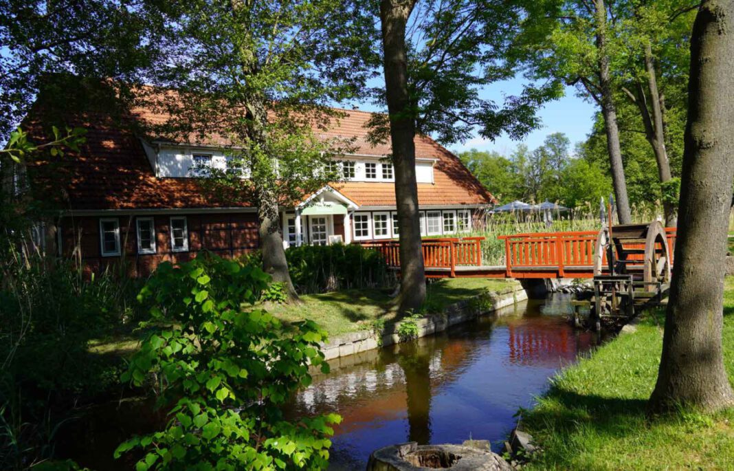 Naturgut Köllnitz: Wasser, Wiese Wald, Foto Heike Sievers