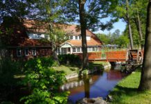 Naturgut Köllnitz: Wasser, Wiese Wald, Foto Heike Sievers