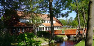 Naturgut Köllnitz: Wasser, Wiese Wald, Foto Heike Sievers