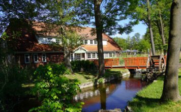 Naturgut Köllnitz: Wasser, Wiese Wald, Foto Heike Sievers