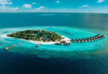 Nova Maldives: Das Inselresort für Good Soul Days - Reisebericht foto Nova