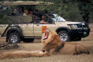 Südafrika: Palast in der Wildnis, Foto Sun International