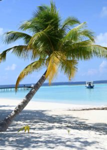 Nova Maldives: Traditionelle Maledivische Medizin im Spa - Reisebericht 2, foto EH