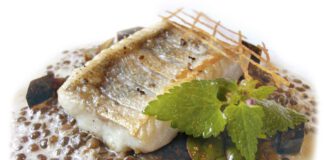 Heimischer Zander auf Linsenspecksauce und Balsamico-Gelee, foto dmp