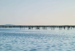 Marseillan im Languedoc: Heimat von Noilly Prat