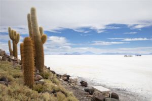 Neue & einzigartig: Gruppenreise durch Bolivien, Chile und auf die Osterinsel, foto Djoser