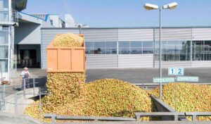 Vom Apfel zum Apfelsaft, foto VdF